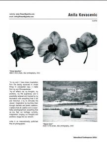 Photographer Anita Kovacevic Published In The Art Book International Contemporary Artists Vol.VI